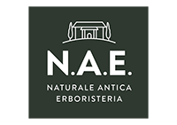 N.A.E Logo